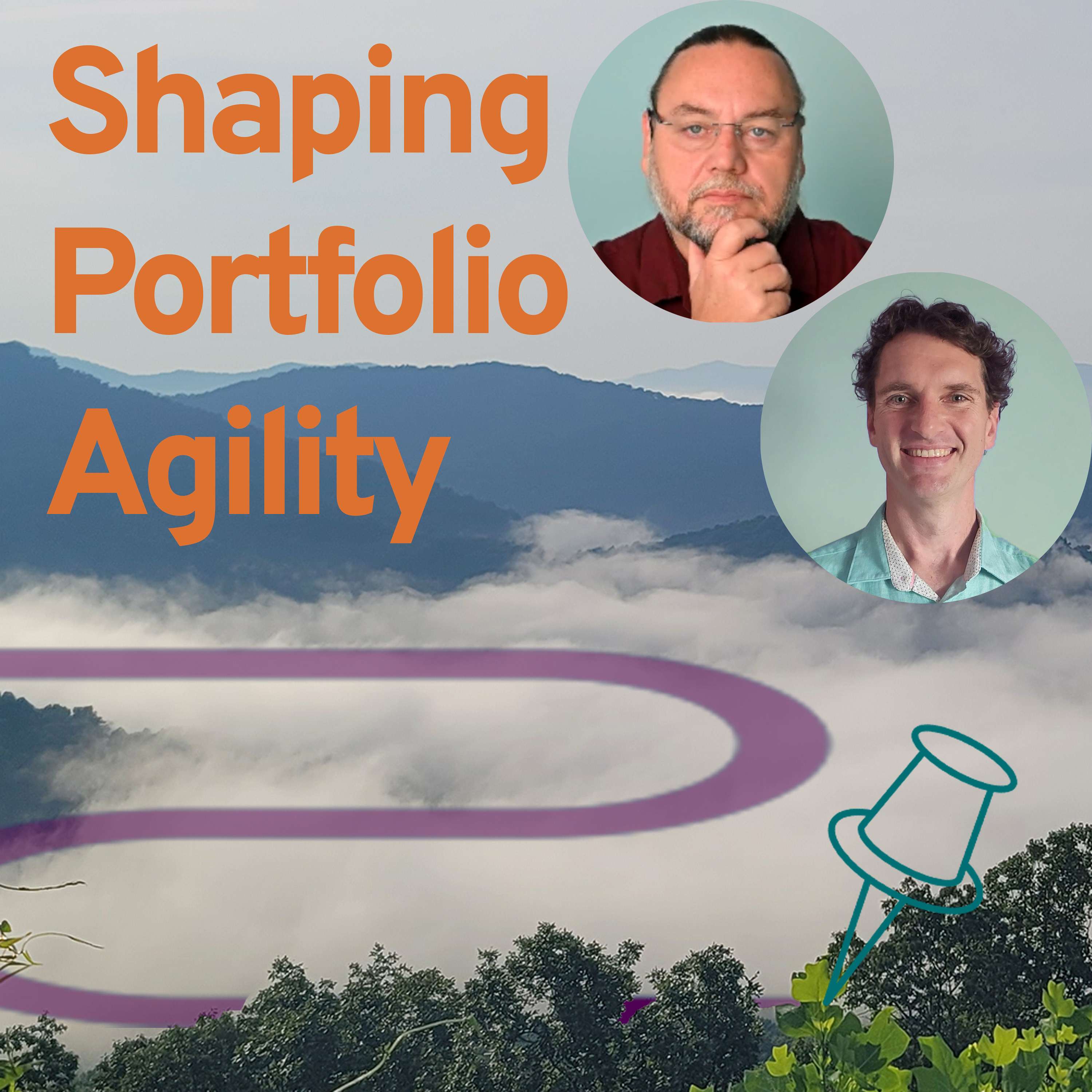 Shaping Portfolio Agility