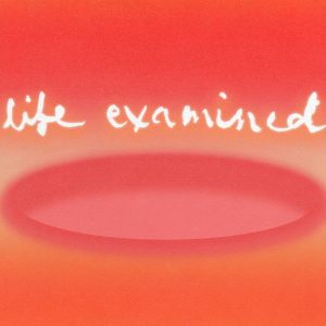 Life Examined