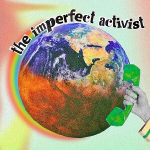 What is youth activism?