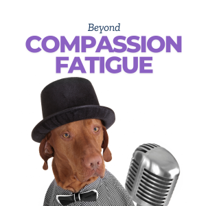 The Compassion Fatigue Cycle: The Zealot Phase