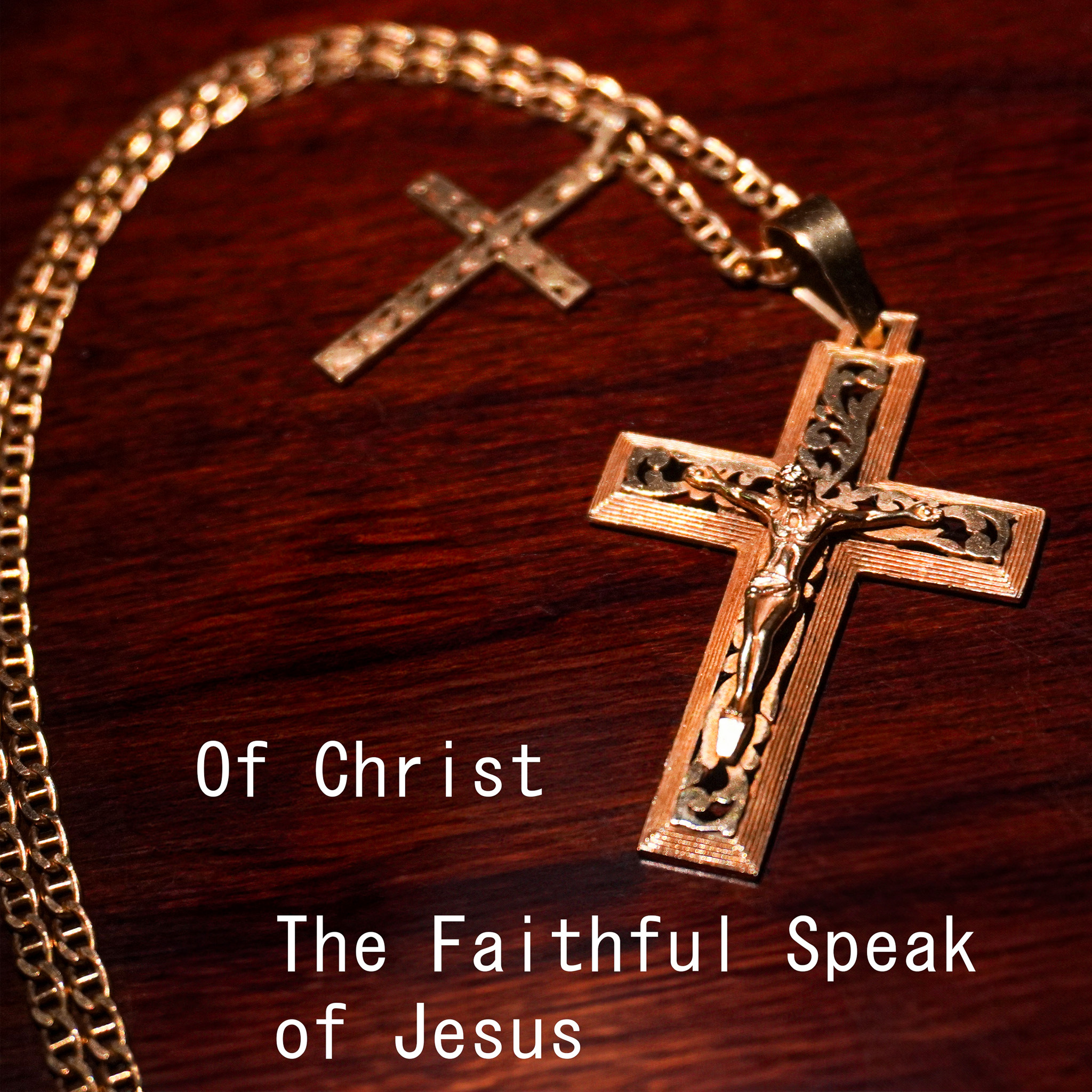 Of Christ: The Faithful Speak of Jesus