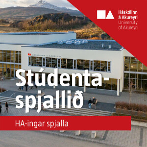 #2 Leðurgerð úr roði í metravís: Nanna Lín