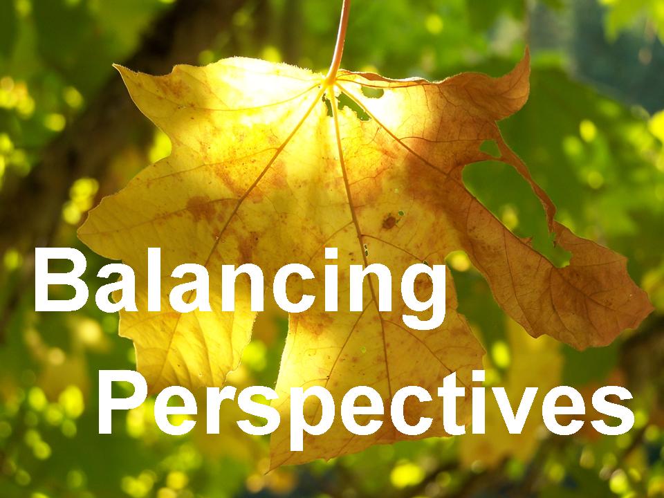 Balancing Perspectives