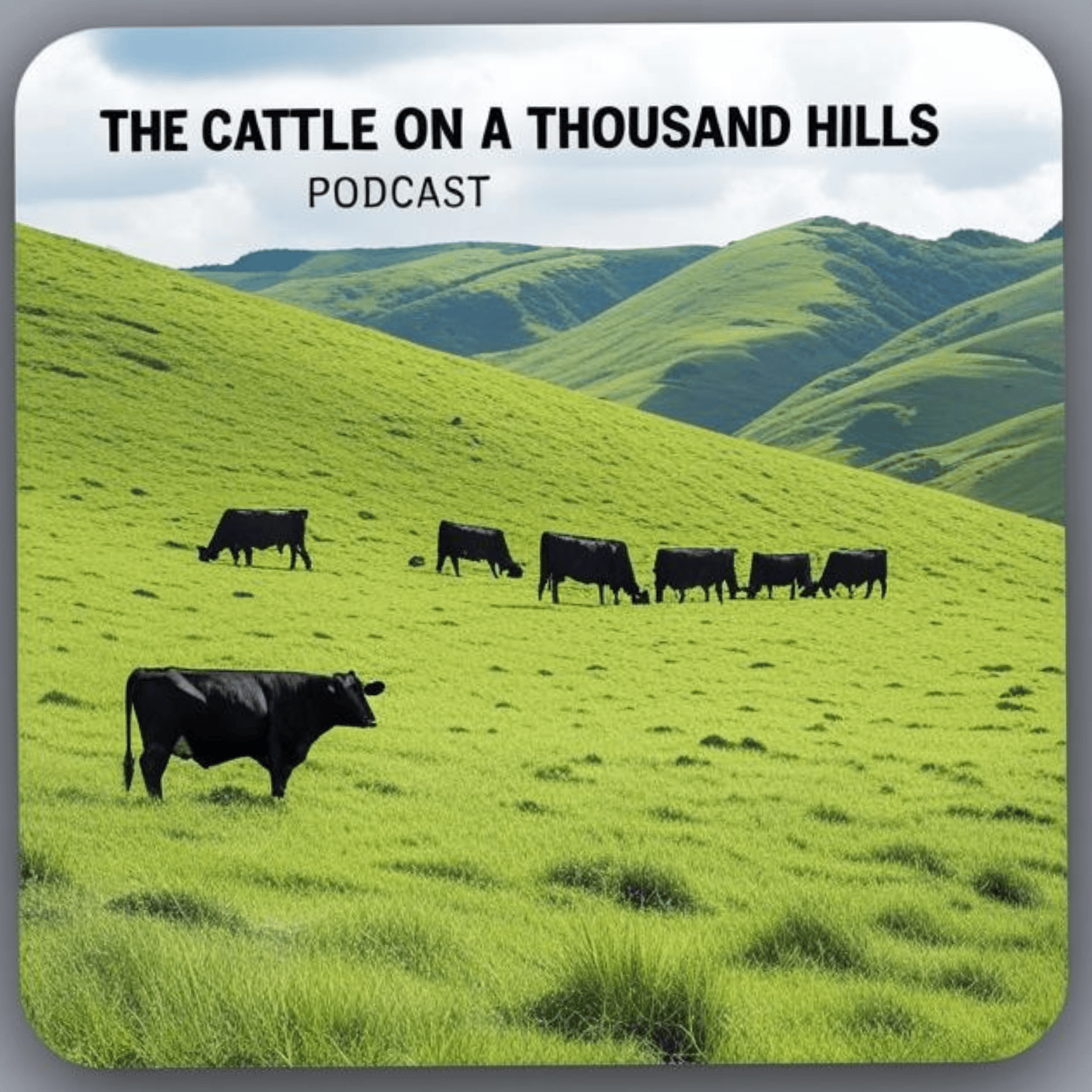The Cattle on a Thousand Hills Podcast