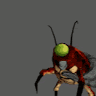 alien shrimp