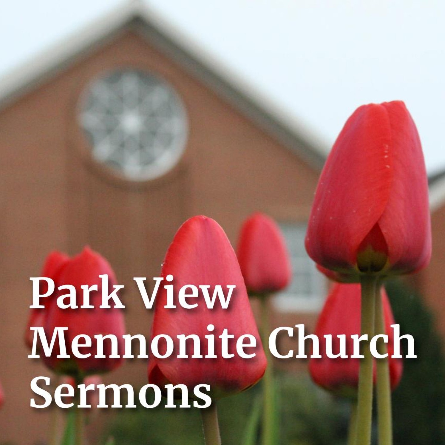Park View Mennonite Church sermons