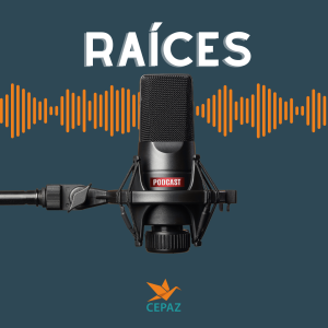Transferencias monetarias: herramientas clave para la inclusión social