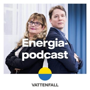 Jakso 2: 15 minuutin hinnoittelu siirtyy – mitä riskejä siitä on yrityksille?