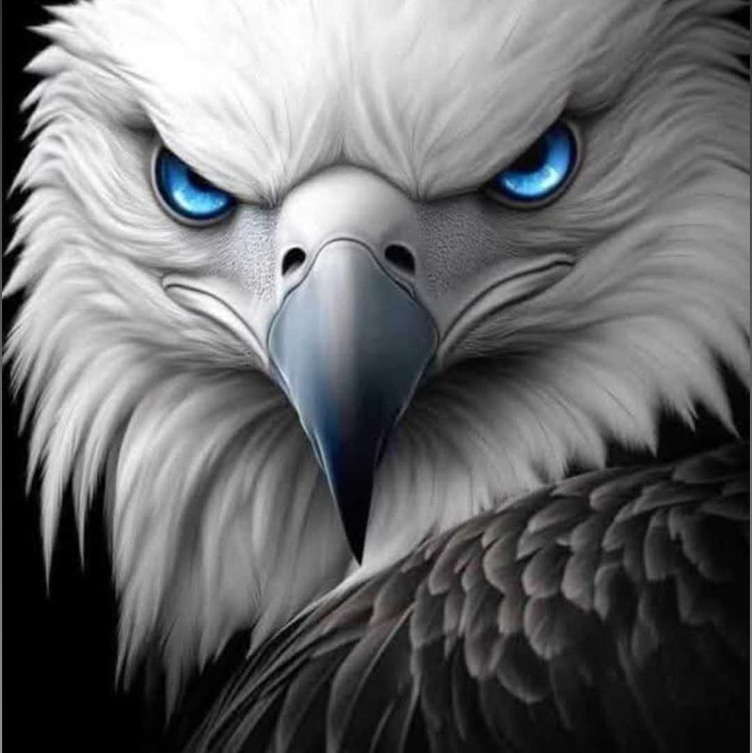 Cobbie Major 🦅
