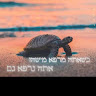 בניהו עמר