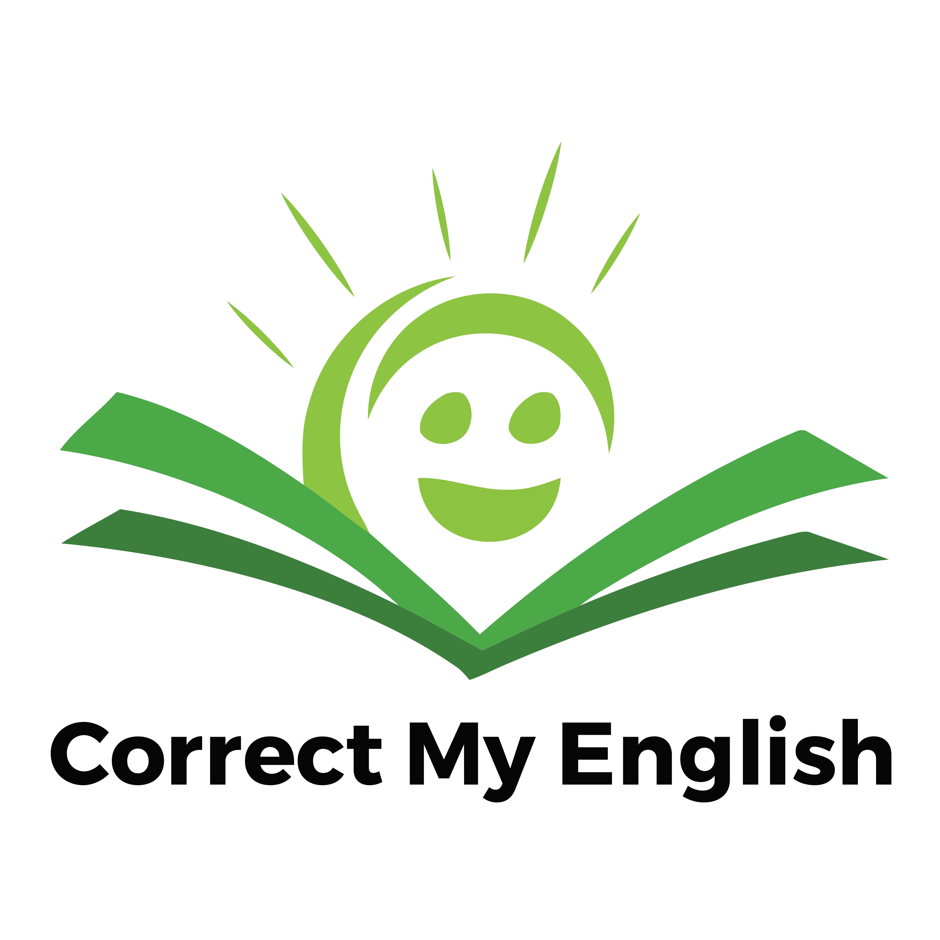 Correct My English