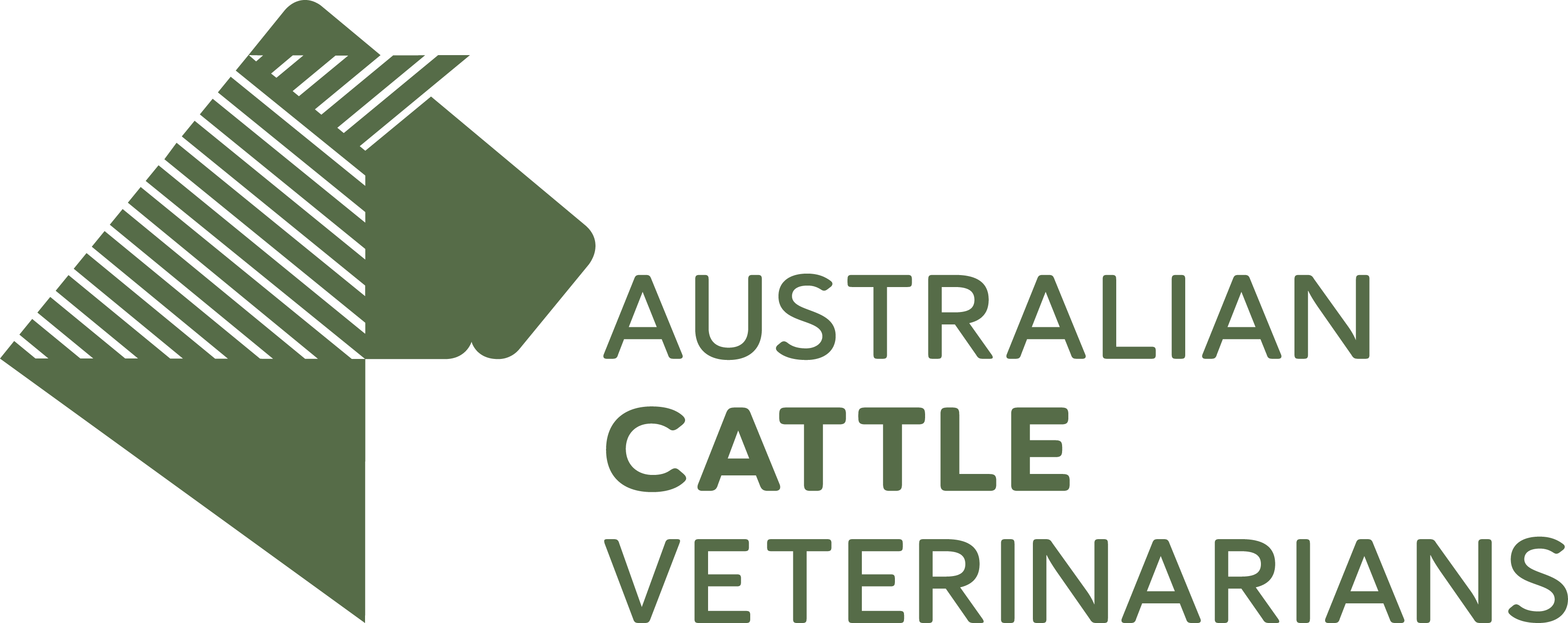 Australian Cattle Vets | AVA