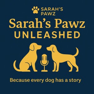 Let's Talk: Anxiety in Dogs