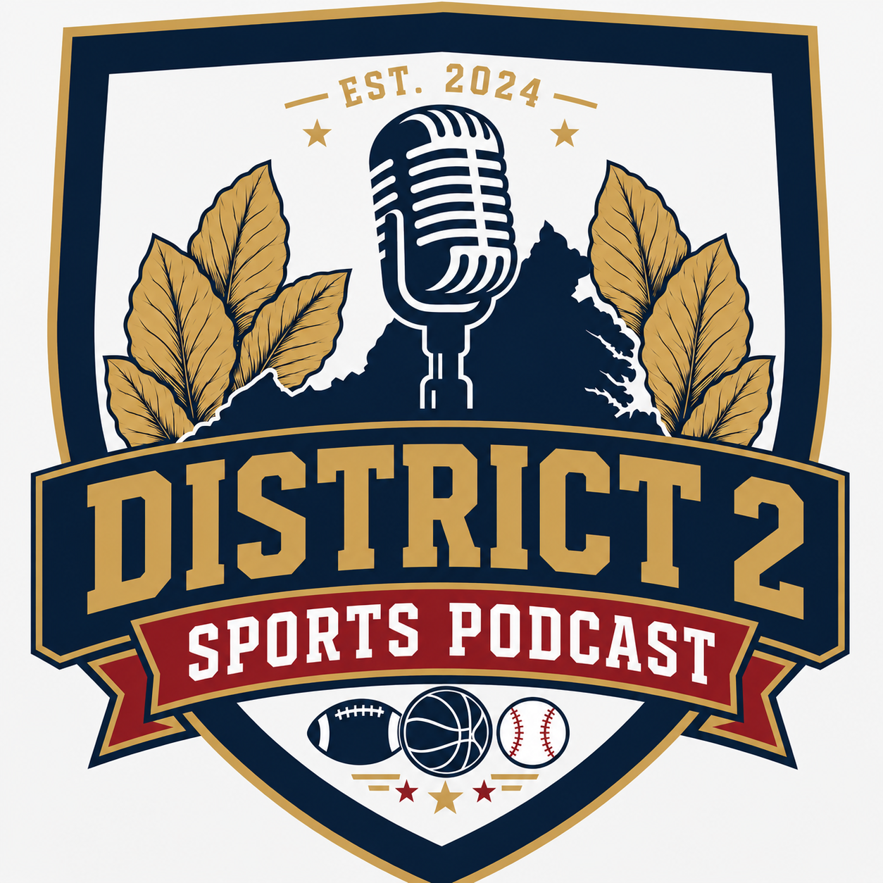 District 2 Sports Podcast