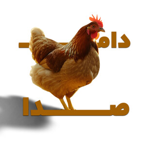 Dicalcium Phosphate (DCP): The Secret to Animal Growth & Health