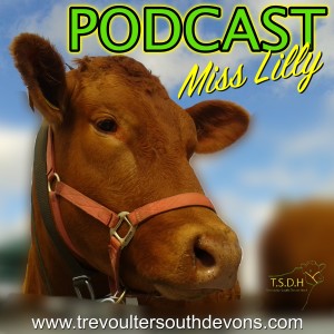 Miss Lilly’s Podcast