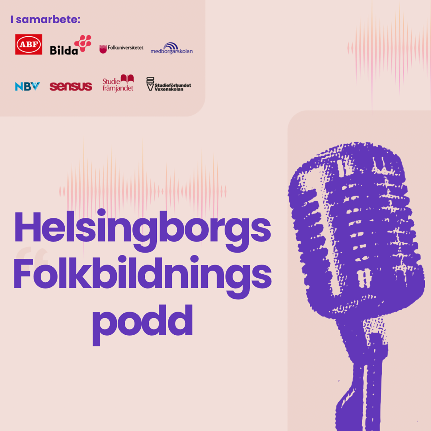 Helsingborgs Folkbildningspodd