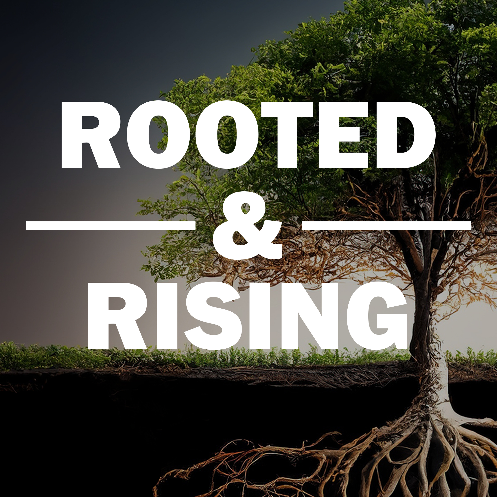 Rooted & Rising podcast artwork
