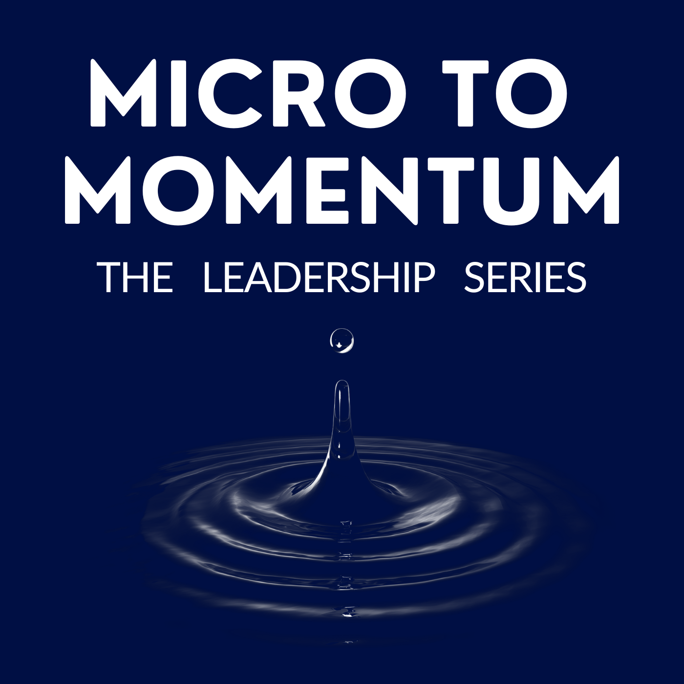 Micro to Momentum : The Leadership Series cover art