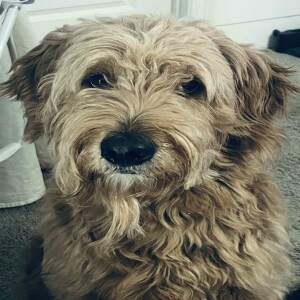 Anything goes with Jill Devereaux