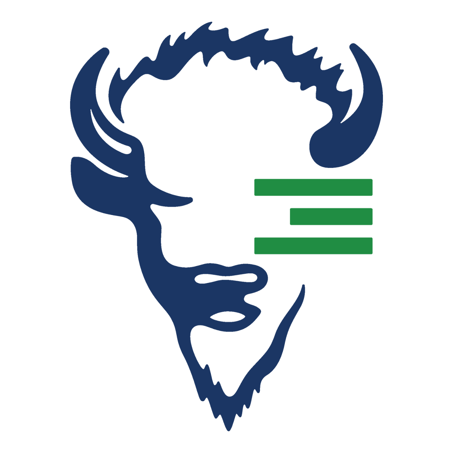 Bison Mentality Podcast podcast artwork