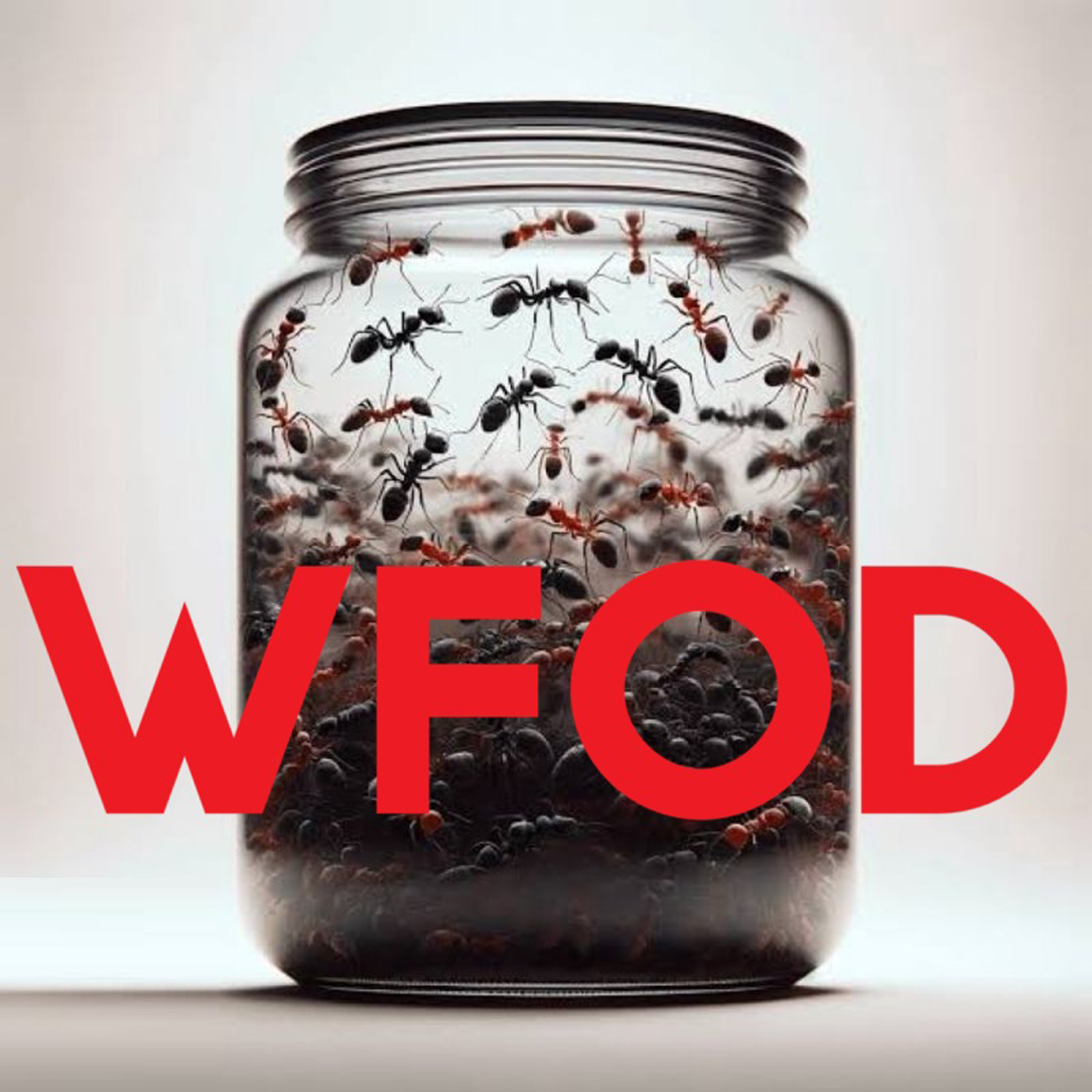 WFOD