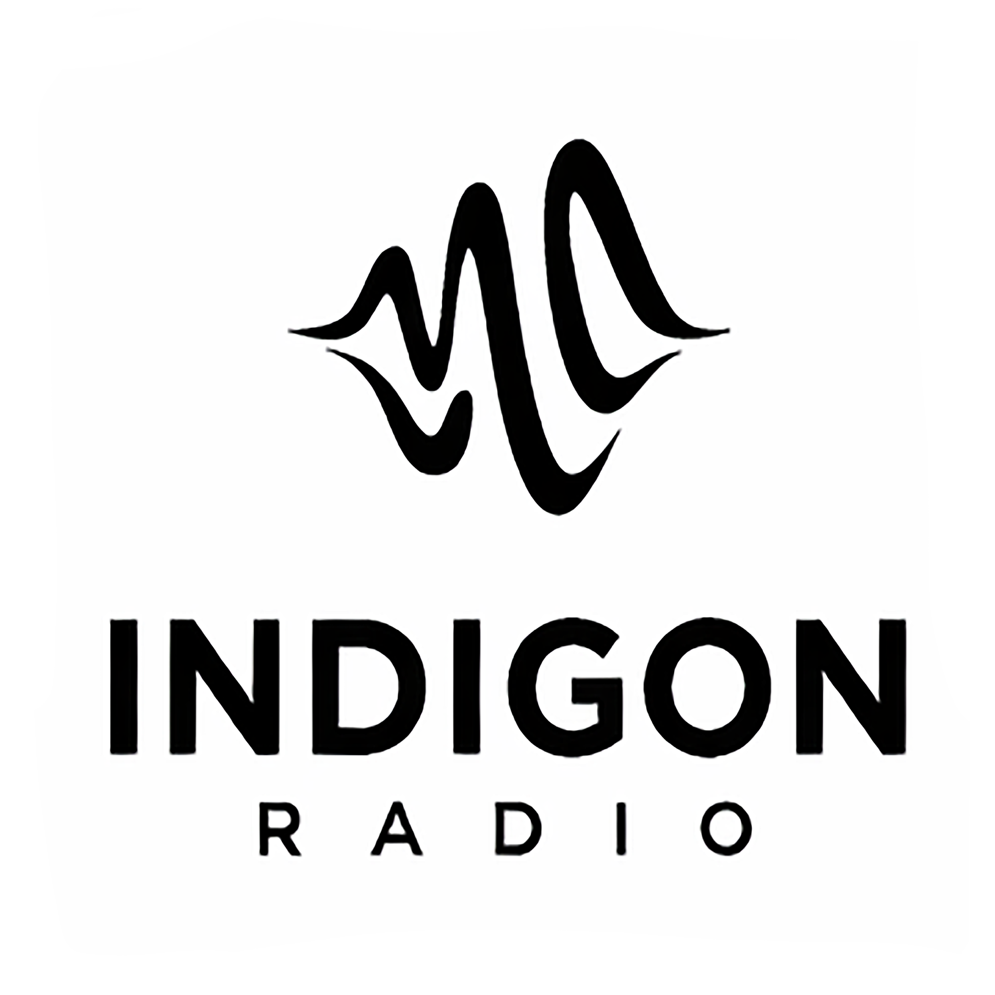 Indigon Radio: The Business of Creative Power