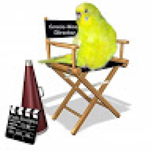 User Podcast Logo