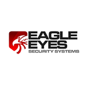 The eagleeyessecuritysystems's Podcast