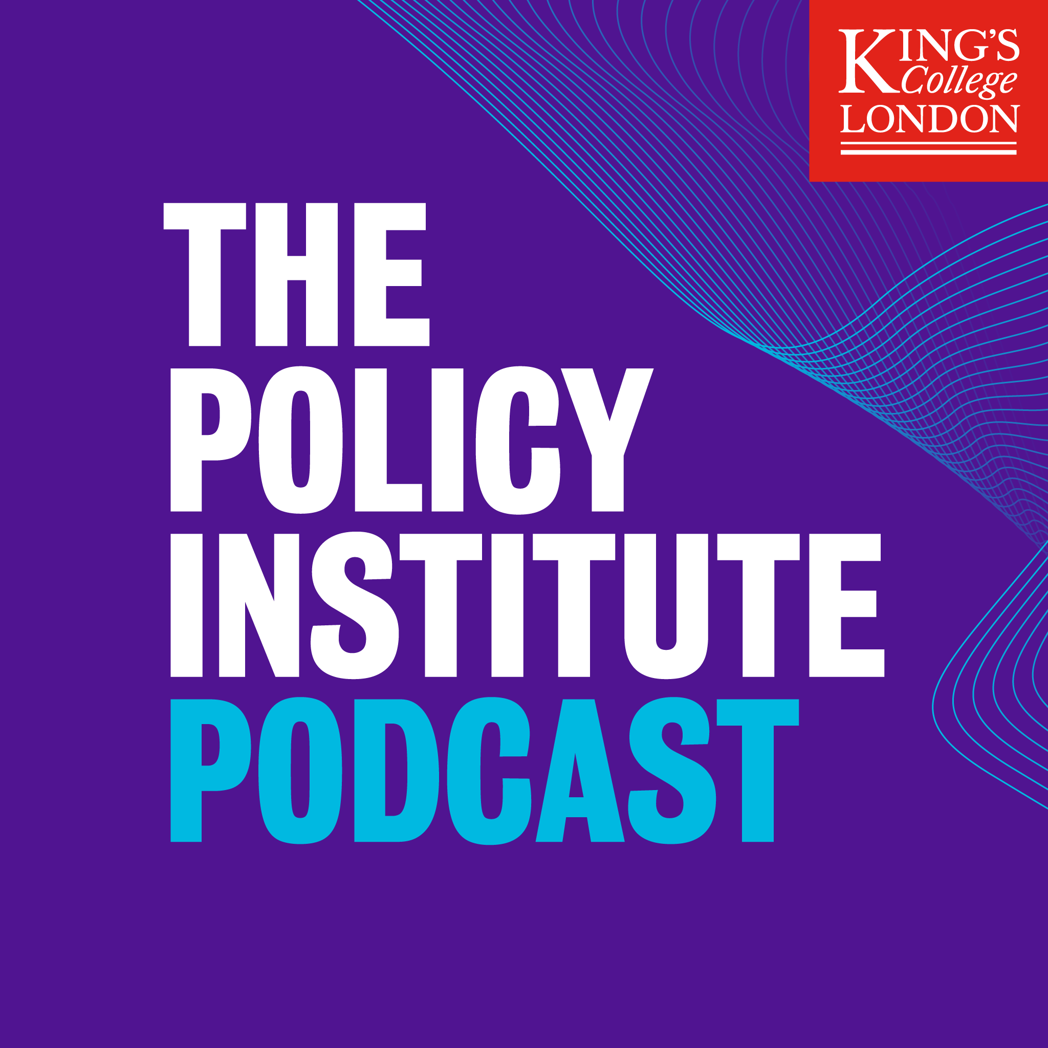 The Policy Institute Podcast podcast artwork