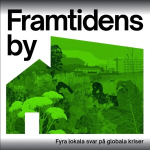 Avsnitt 3 Lokalt ledarskap del 2 -