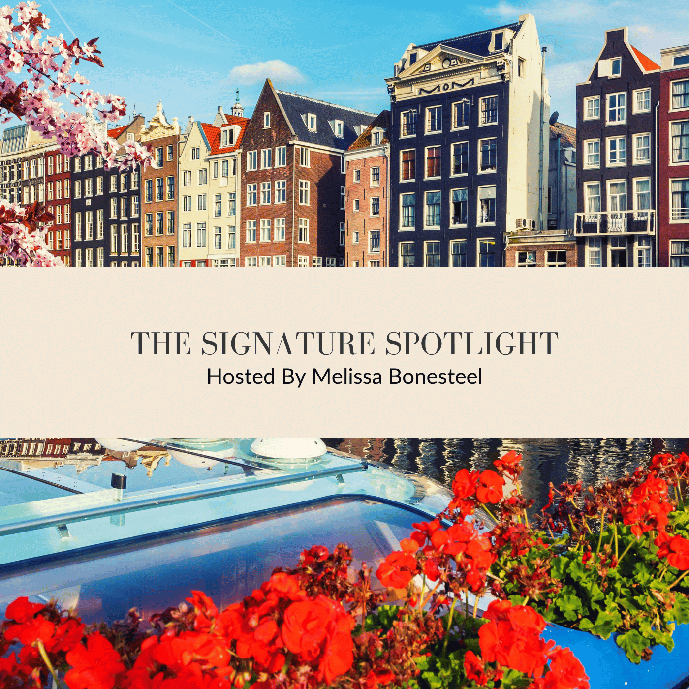 The Signature Spotlight