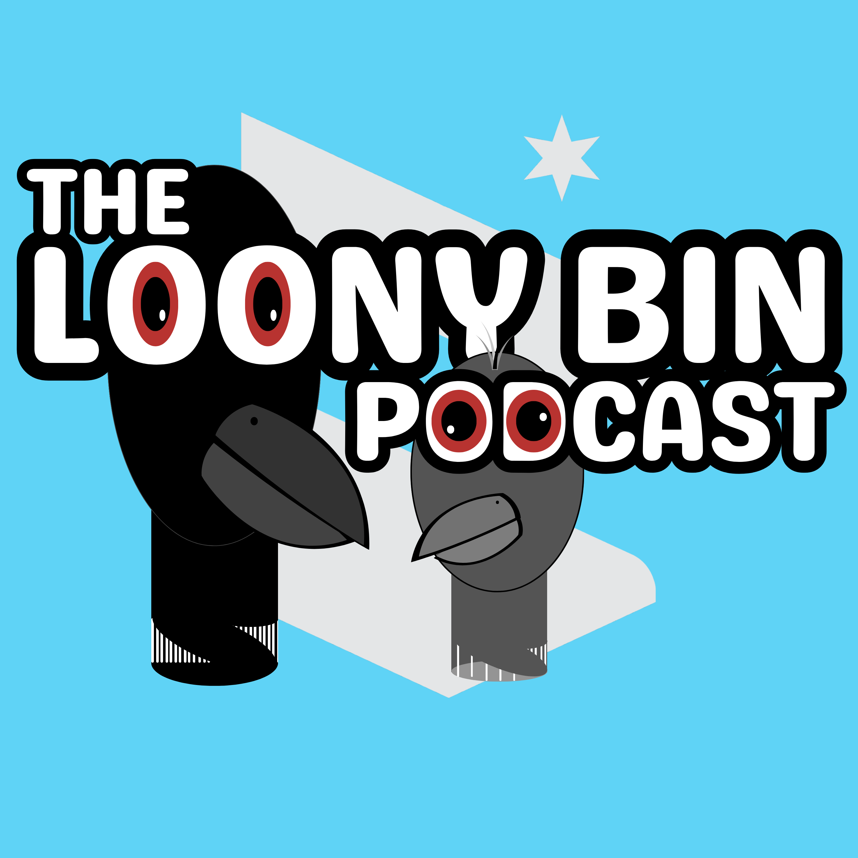 The Loony Bin Podcast