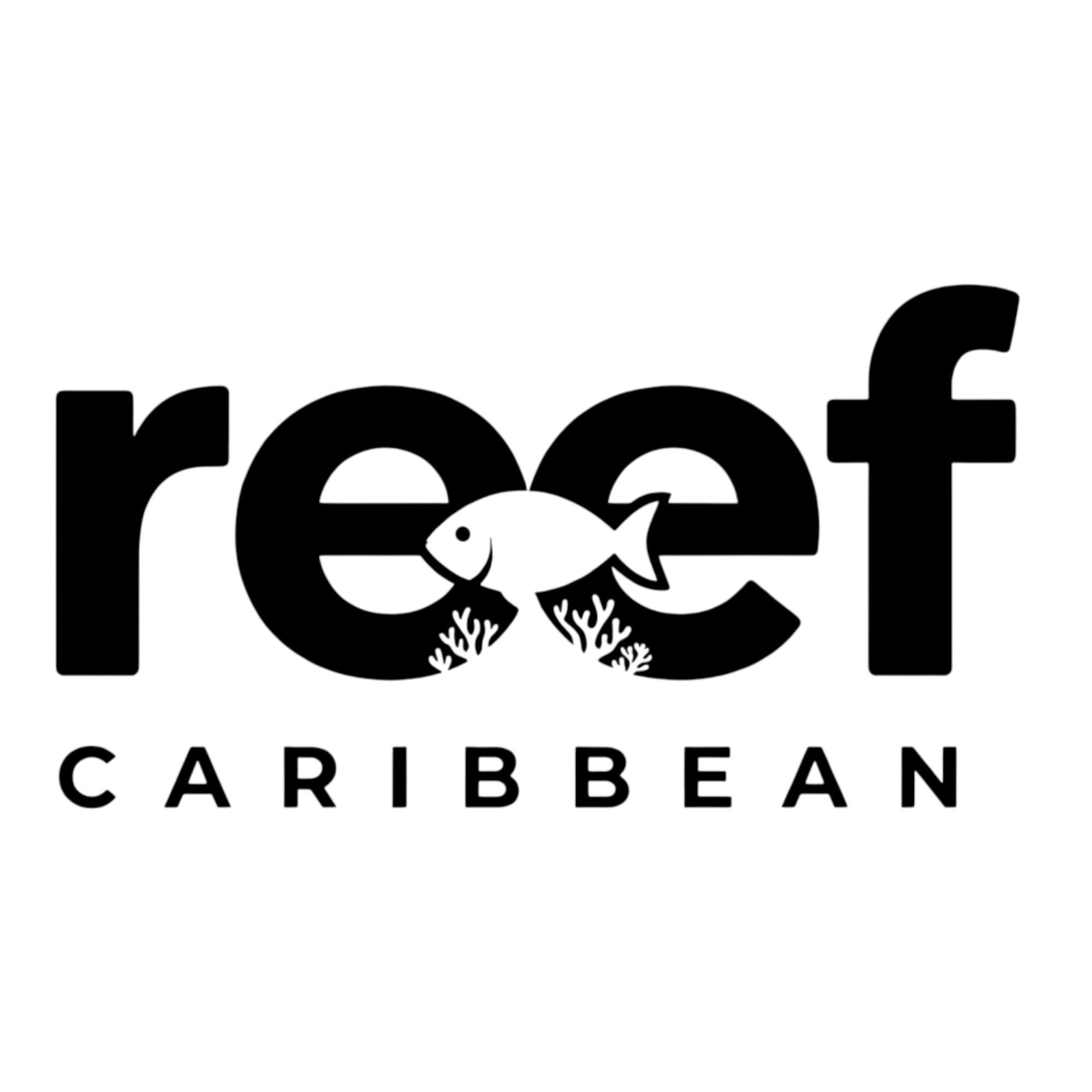 Rebuilding the Caribbean: Beyond the Silent Invasion