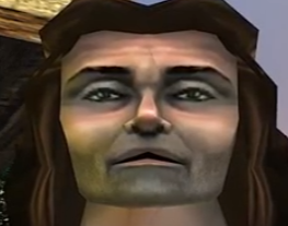 Meatshield