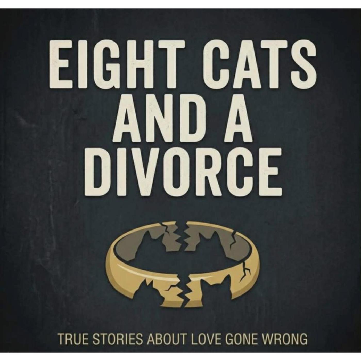 8 Cats and a Divorce