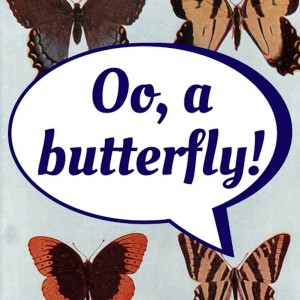 O, A Butterfly!