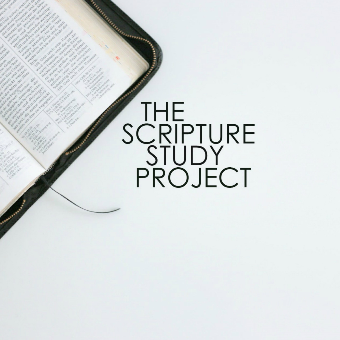 The Scripture Study Project - 