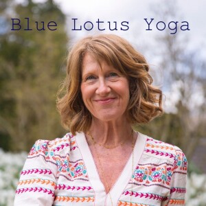Blue Lotus Yoga with Jill Amison