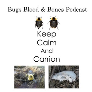 108: Butterball Beetles &amp; Bugs on Your Plate