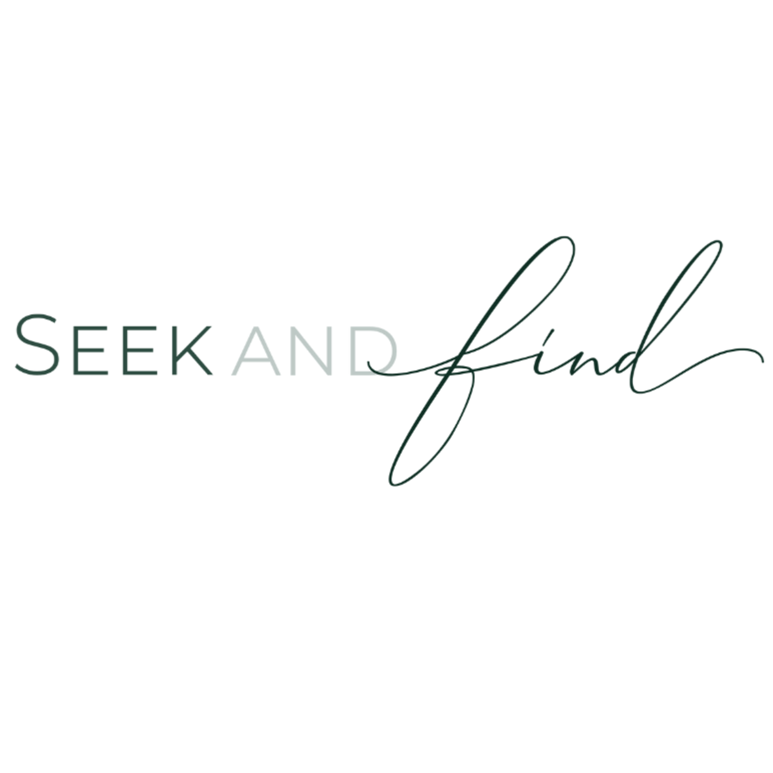 Seek and Find