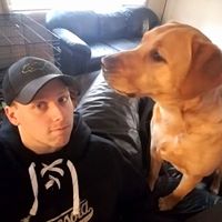 rottweiler66