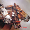 rphlonghorn