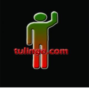 Tulingo