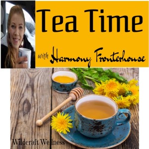 TEA TIME with Harmony