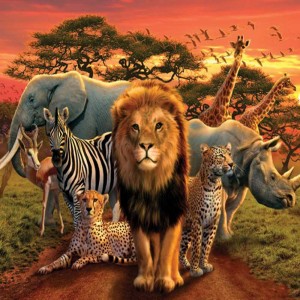 Animals of Africa Podcast