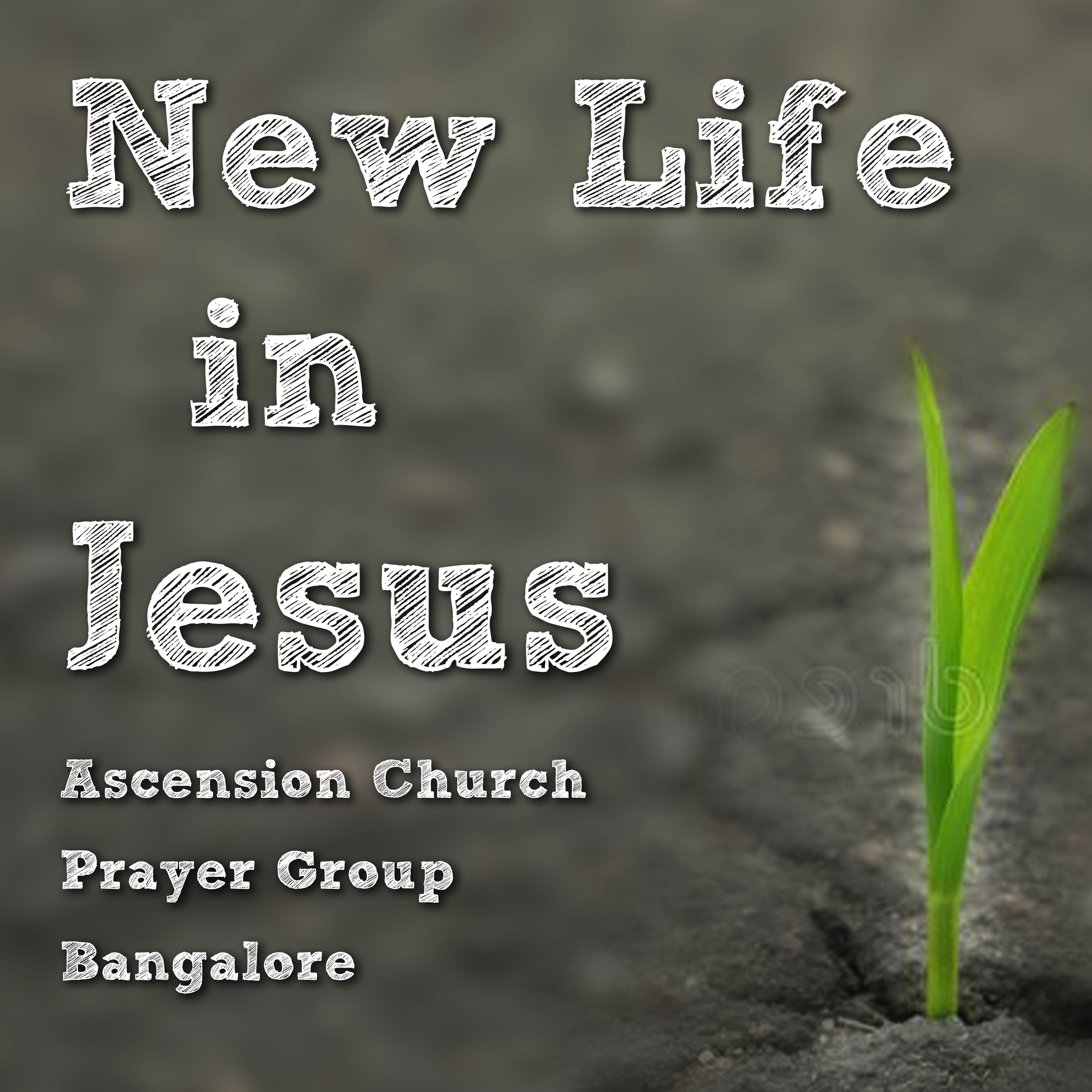 New Life in Jesus, Ascension Church, Bangalore