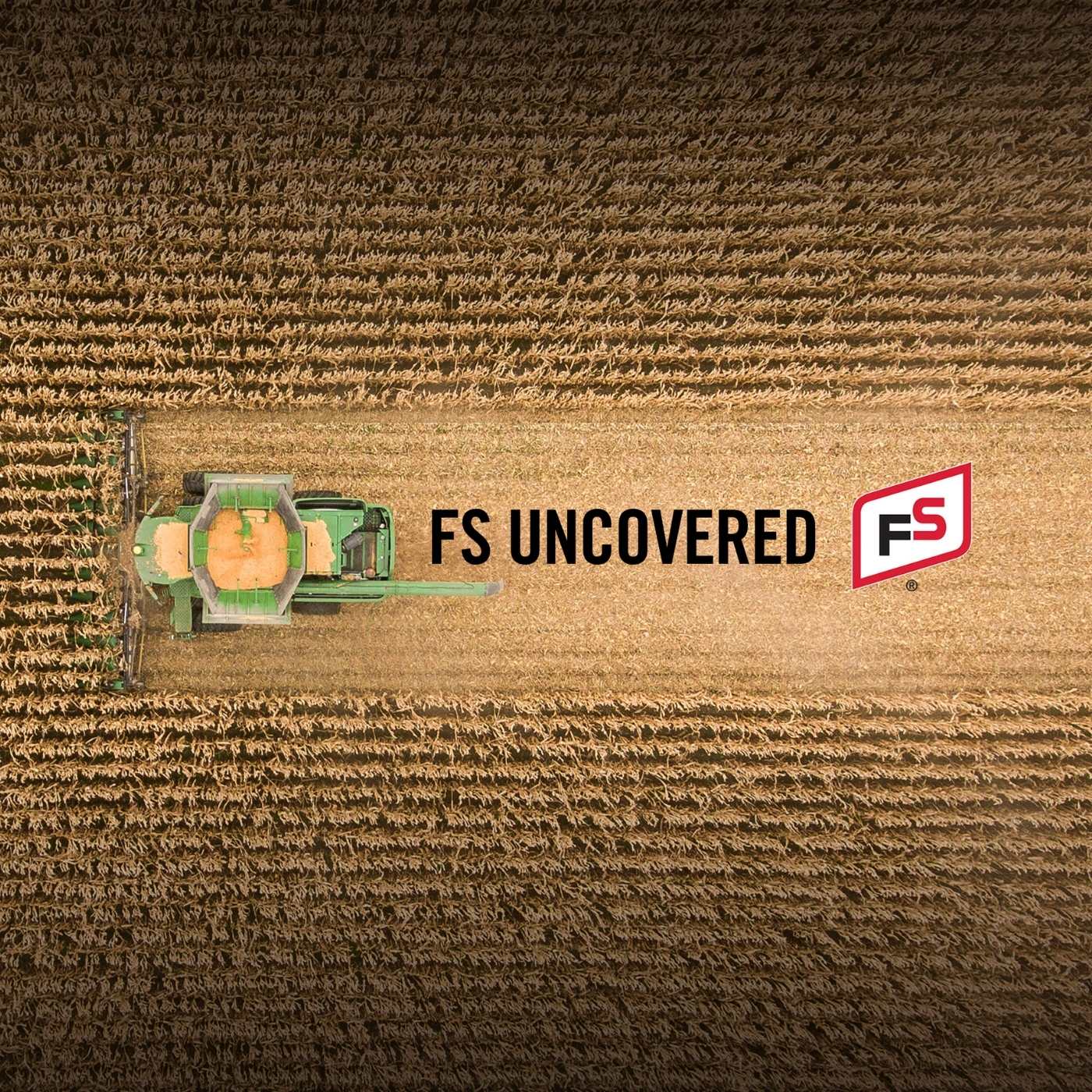 FS Uncovered
