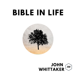 Who Is God? | John 1:1-5, 14