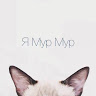 ks_marko